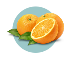 Vitamin C ingredient visual